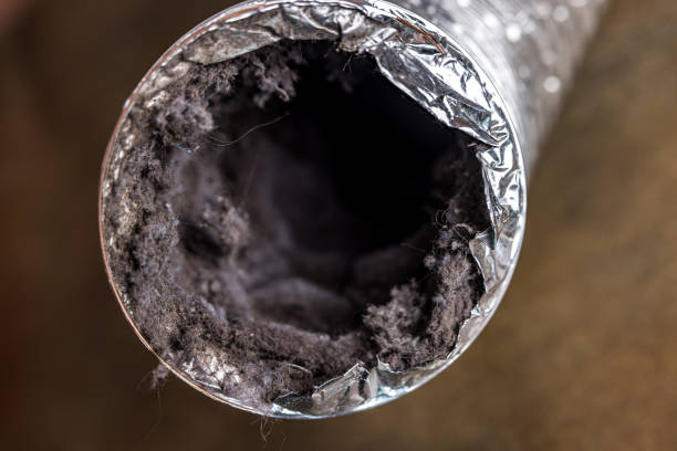 Best Affordable Duct Cleaning Services  in Amsterdam, NY